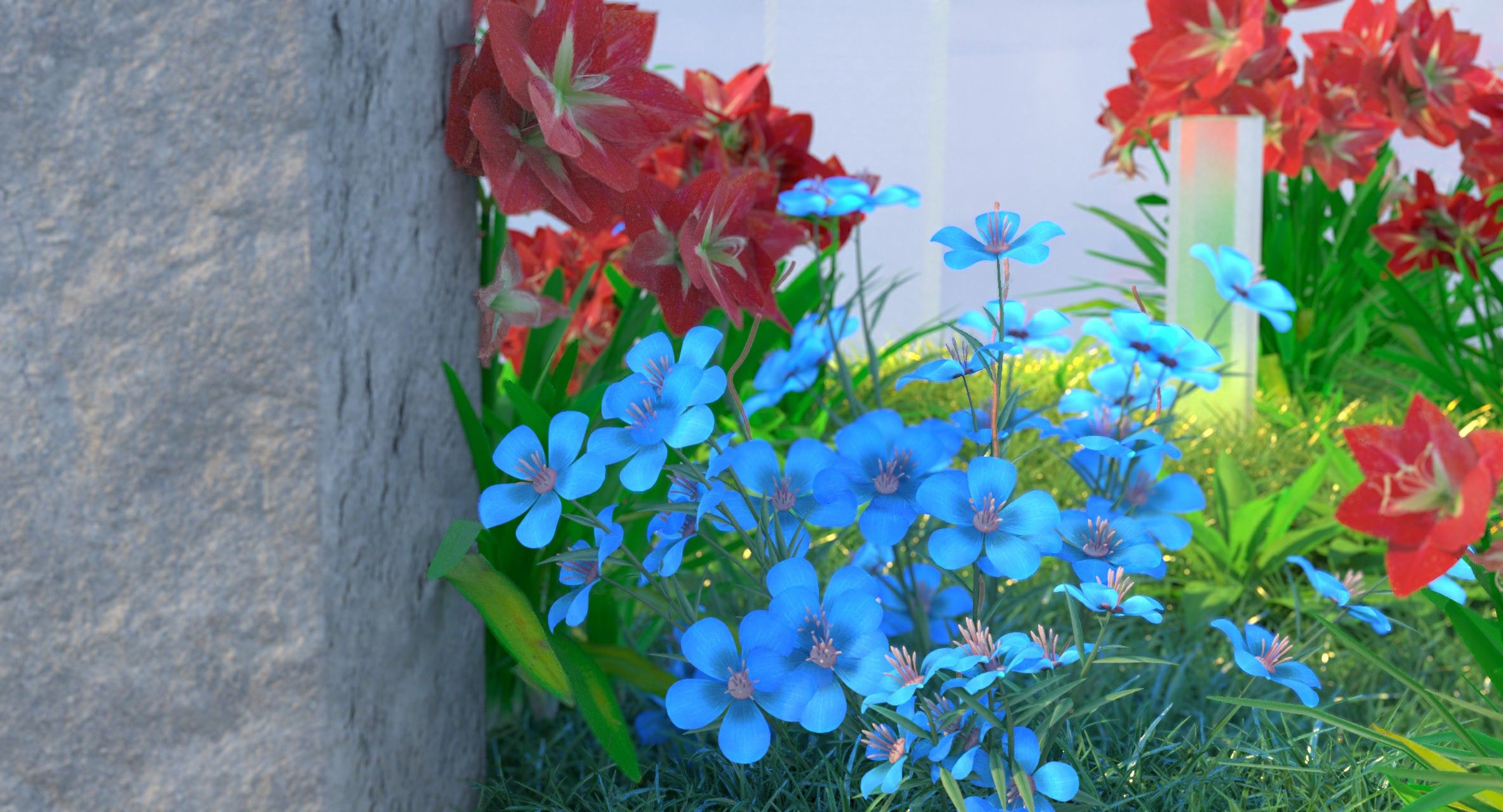 格式工厂flower_closeup.jpg
